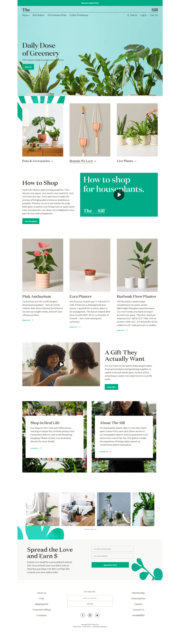 Indoor Potted Plants Delivered to Your Door - The Sill - www.thesill.com.png
