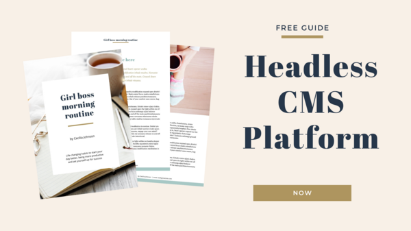 ヘッドレス CMS プラットフォーム.png